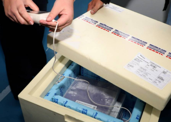 Paraná receberá mais 133,3 mil doses da Pfizer nesta sexta-feira