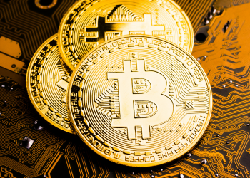 Policiais da 14ª SDP cumprem mandado de busca e apreensão em Guarapuava na segunda fase da Operação “Ponta do Ice Berg”