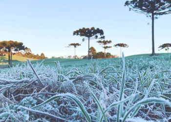 Paraná tem 16 cidades com temperaturas negativas; Guarapuava registrou -2,5ºC