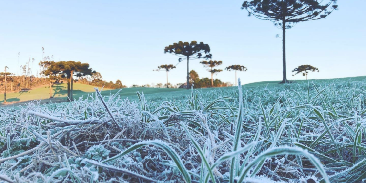 Paraná tem 16 cidades com temperaturas negativas; Guarapuava registrou -2,5ºC