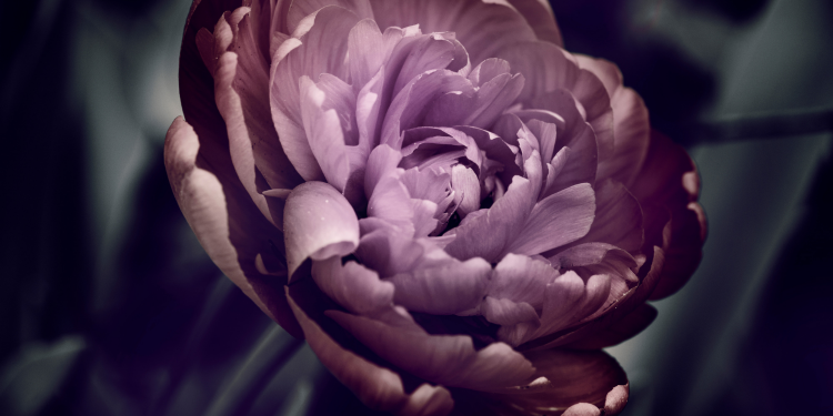 Óbitos registrados nesta terça-feira (06) em Guarapuava pela Central de Triagem