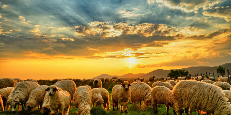 Basta, a cada dia, o seu mal!