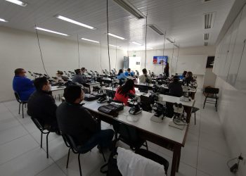 SESA promove capacitação para a identificação e classificação do bicho barbeiro, vetor da Doença de Chagas