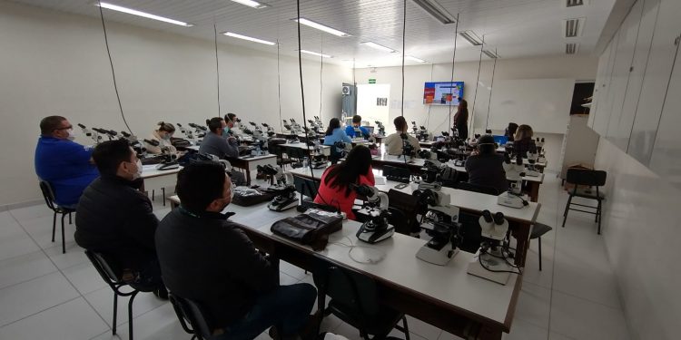 SESA promove capacitação para a identificação e classificação do bicho barbeiro, vetor da Doença de Chagas