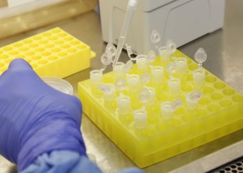 Butantan confirma mais 28 amostras da variante delta em São Paulo