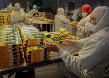 Alimentos processados em empresas paranaenses são líderes nacionais e regionais de vendas