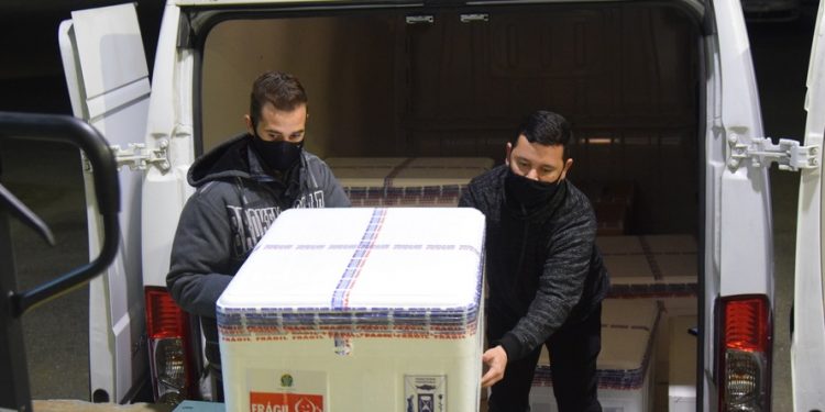 Com novo lote, Paraná garante capacidade para imunizar 80% da população adulta