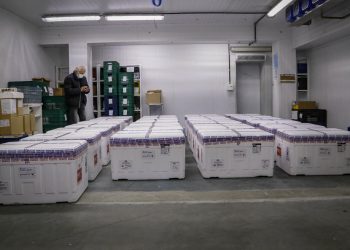 Ministério da Saúde confirma novo lote com 108.810 vacinas contra a Covid-19 para o Paraná