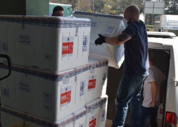 Paraná recebe neste domingo mais um lote com 435 mil doses de vacinas contra Covid