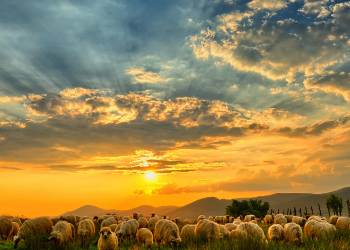 Vencendo as Batalhas na Mente