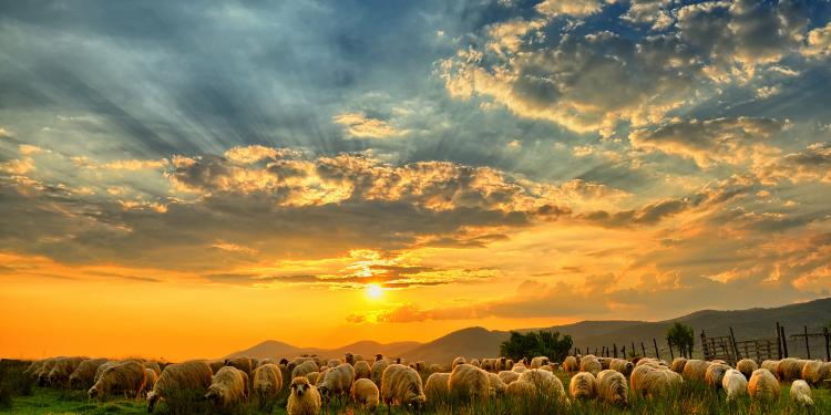 Vencendo as Batalhas na Mente