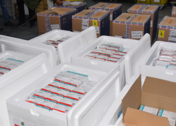 Novo lote com 114 mil vacinas contra a Covid-19 chega ao Paraná