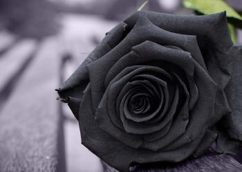 Óbitos registrados nesta sábado (28) em Guarapuava pela Central de Triagem