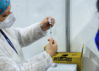 Paraná ultrapassa 8 milhões de doses aplicadas, terceiro estado que mais imunizou sua população