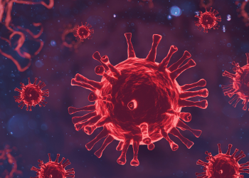 Boletim registra mais 2.223 casos de Covid-19 e 25 óbitos