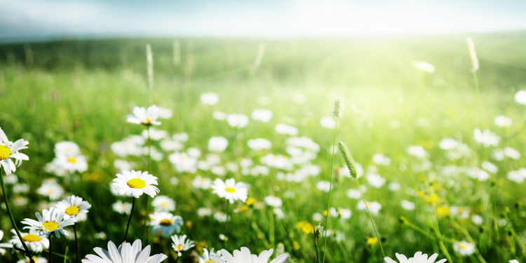 Óbitos registrados nesta segunda-feira (23) em Guarapuava pela Central de Triagem