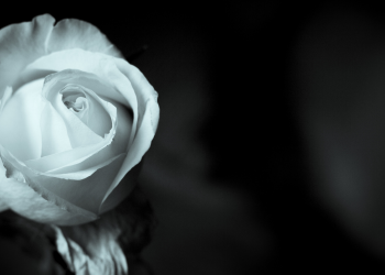 Óbitos registrados nesta quinta-feira (26) em Guarapuava pela Central de Triagem