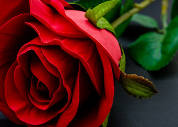 Óbitos registrados nesta segunda-feira (30) em Guarapuava pela Central de Triagem