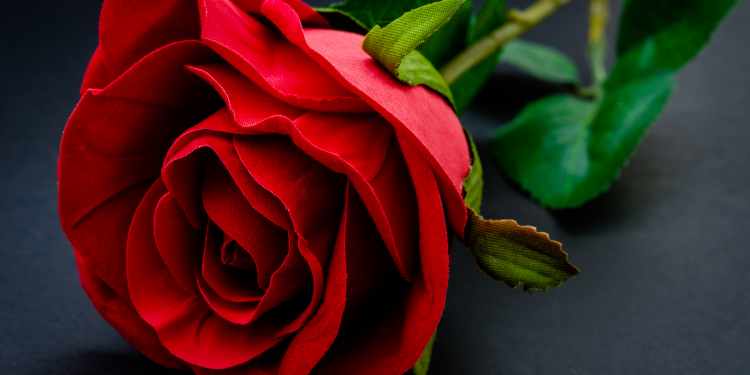 Óbitos registrados nesta segunda-feira (30) em Guarapuava pela Central de Triagem