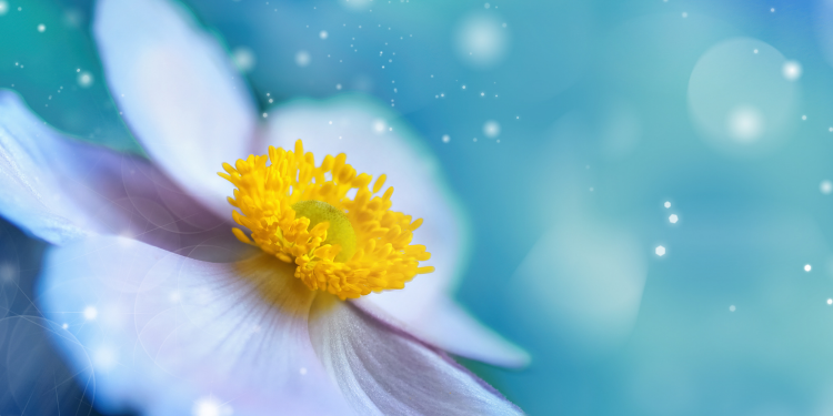 Óbitos registrados nesta sexta-feira (06) em Guarapuava pela Central de Triagem