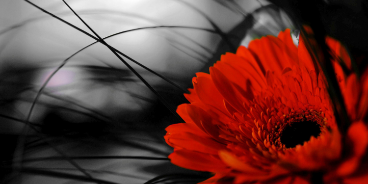 Óbitos registrados nesta sexta-feira (27) em Guarapuava pela Central de Triagem