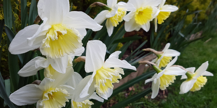 Óbitos registrados nesta terça-feira (03) em Guarapuava pela Central de Triagem