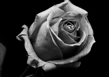 Óbitos registrados nesta terça-feira (10) em Guarapuava pela Central de Triagem