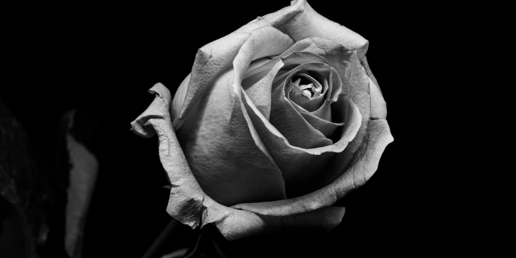 Óbitos registrados nesta terça-feira (10) em Guarapuava pela Central de Triagem