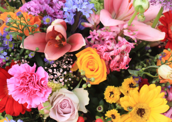 Óbitos registrados nesta terça-feira (17) em Guarapuava pela Central de Triagem