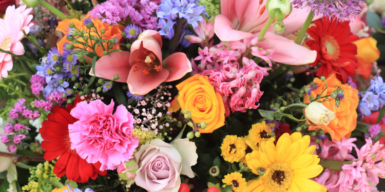 Óbitos registrados nesta terça-feira (17) em Guarapuava pela Central de Triagem