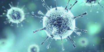 Veneno de cobra pode combater o coronavírus