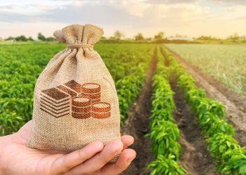 Nova criptomoeda promete impulsionar agronegócio do Brasil