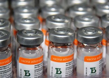 Decisão da Anvisa sobre lotes da Coronavac barra 338 mil vacinas ao Paraná