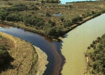 ONG contesta valor e quer elevar indenização devida pela Petrobras por desastre no PR