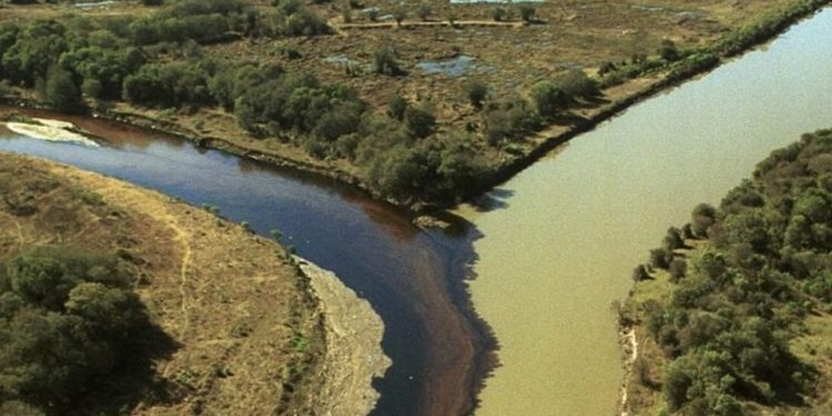 ONG contesta valor e quer elevar indenização devida pela Petrobras por desastre no PR