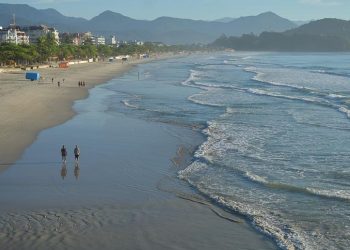 Mulher de 79 anos foi atacada por tubarão no litoral de SP, indica laudo