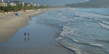 Mulher de 79 anos foi atacada por tubarão no litoral de SP, indica laudo