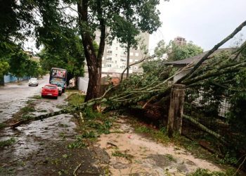 Equipes da Copel trabalham para recompor redes após temporal de domingo