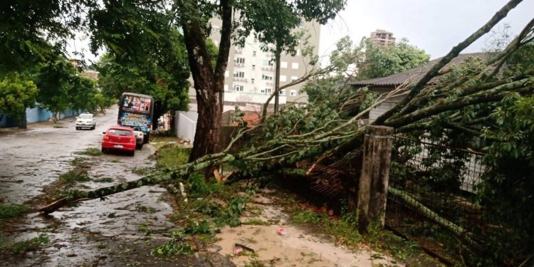 Equipes da Copel trabalham para recompor redes após temporal de domingo