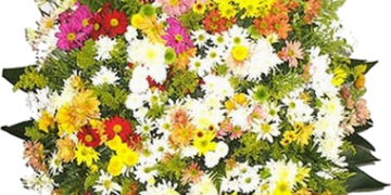 A Central de Triagem de Guarapuava comunica os óbitos deste sábado (27)