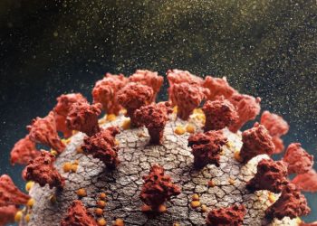 Ômicron: Paraná acompanha seis viajantes vindos da África do Sul