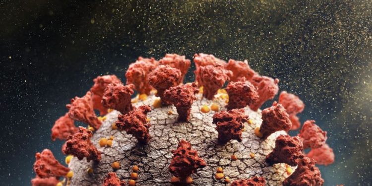 Ômicron: Paraná acompanha seis viajantes vindos da África do Sul