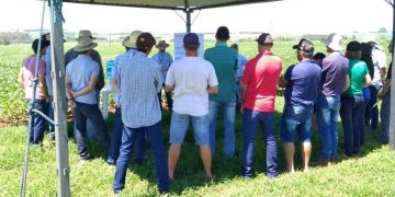 IDR-Paraná e Embrapa mostram resultados de tecnologias agrícolas no Giro Técnico da Soja
