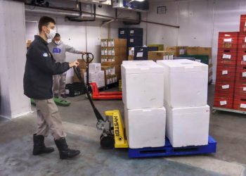 Paraná recebe 278 mil vacinas para D2, adolescentes e municípios de fronteira