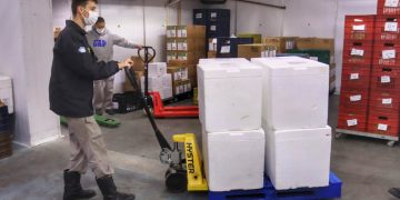 Paraná recebe 278 mil vacinas para D2, adolescentes e municípios de fronteira