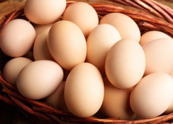 Puxados por frango e ovo, preços de produtos da ceia de Natal sobem até 27%