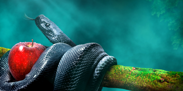 As conseqüências da aventura com o pecado