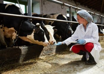 Campanha alerta para os cuidados no uso de antimicrobianos