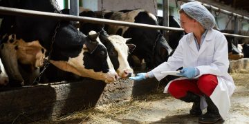 Campanha alerta para os cuidados no uso de antimicrobianos