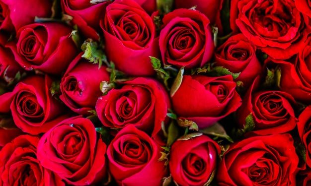 A Central de Triagem de Guarapuava comunica os óbitos desta quarta-feira (24)